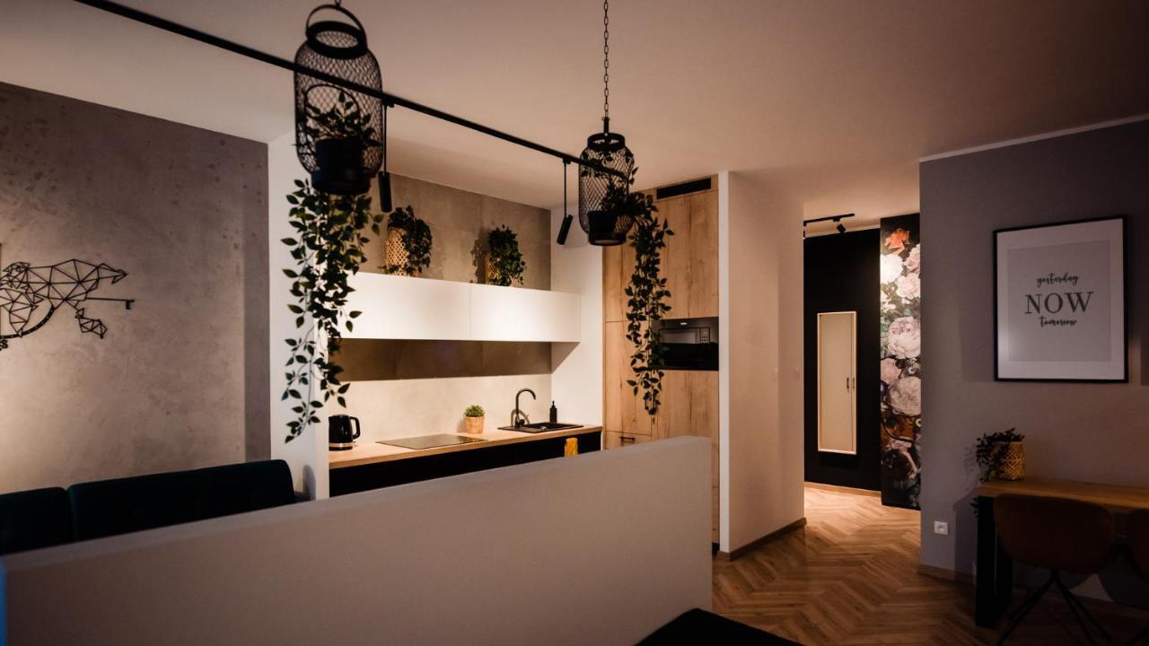 Floral Apartment 克拉科夫 外观 照片